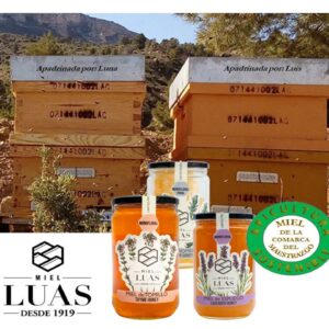 Apadrina una colmena (Mini)