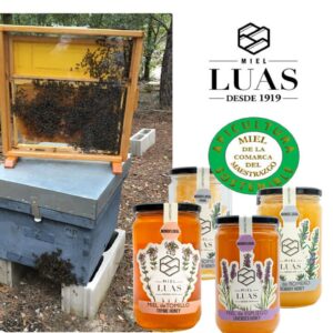 Apadrinar una colmena (Estándar)