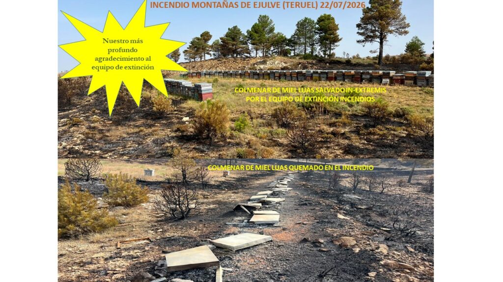 Nuestro más profundo agradecimiento a equipo de bomberos